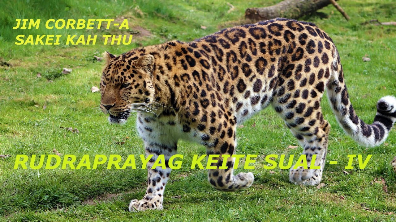 Rudraprayag Keite Sual - IV  (Jim Corbett-a Sakei Kah Thu : Letlingtu - F Chhawnmanga