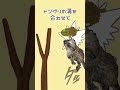 【雑学】賢いモモンガ、リスさんを超える #shorts
