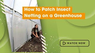 How to Repair and Patch Insect Net on Greenhouses Profile