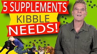 Best Supplements To Add To Dog Food (5 Ways To Improve Kibble)