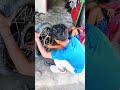 Royal Enfield brake drum polish