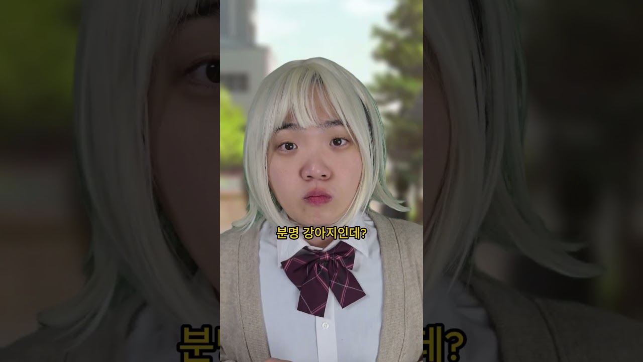 강아지 대사건!? #강아지 #공감 #실화