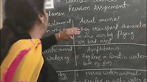 Bhartiyam Public School /class 4/Science Revision Assignment 9,10