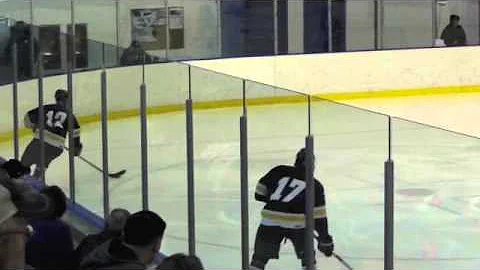 A Hockey Hero