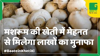 Mushroom Farming (मशरूम की खेती)  In Baatein Kheti Ki - On Green TV