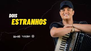 Video thumbnail of "DOIS ESTRANHOS - Tarcísio Do Acordeon  [ Música Nova ]"