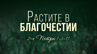 Растите в благочестии (Вениамин Портанский)