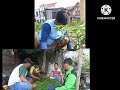 Keren ...👍👍👍 dari karyawan BUMN memilih menjadi entrepreneur Hortikultura sukses.