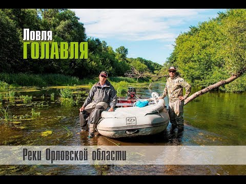 Ловля голавля. Реки Орловской области