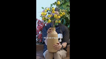 Ăn chợm khổ nhất trên đời 🤣 #bablab #BAB2508C025