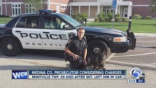 6pm Heat alert systems can save police dog's life in hot patrol car
