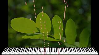 I Like You, I Don't Like You (New Age Piano) - J.O