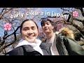 last japan vlog, back home + room renovation | Anna Cay (March 17-23, 2023.) ♥