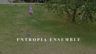 Entropie Ensemble - Fu