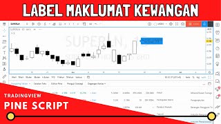 FINANCIAL LABEL | TRADINGVIEW PINE SCRIPT