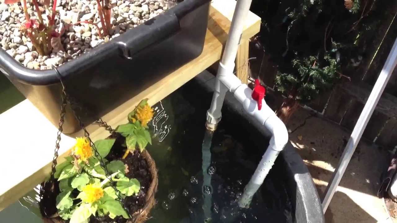 Making a Cheap Pond Aerator and Updates - YouTube