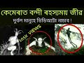 assamese video