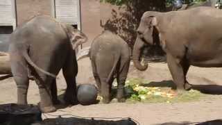 artis mumba 3 jaar oud