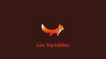 Tutoriel Swift #2: Les variables et les constantes