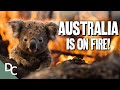 Will Australia Survive the Next Firestorm? | Decoding Danger | Documentary Central