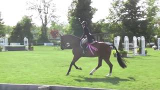 Jarnac - Victory Gallop Hunter Derby
