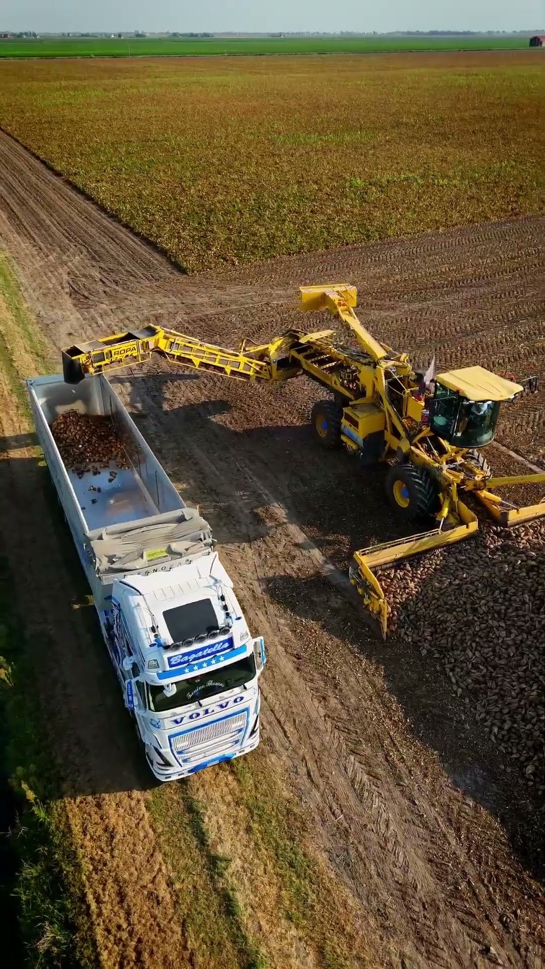 Bagatella — agricoltura · aziendale — video tzzMedia