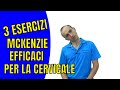 I 3 Migliori Esercizi Mckenzie per il Male al Collo (che ho Testato)