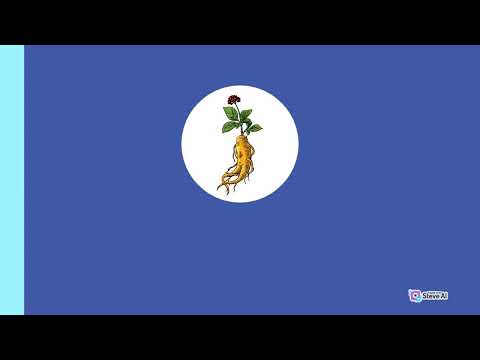 Sanjeevani: Ayurvedic Chatbot For Personal Health and Wellness Companion| Project Overview