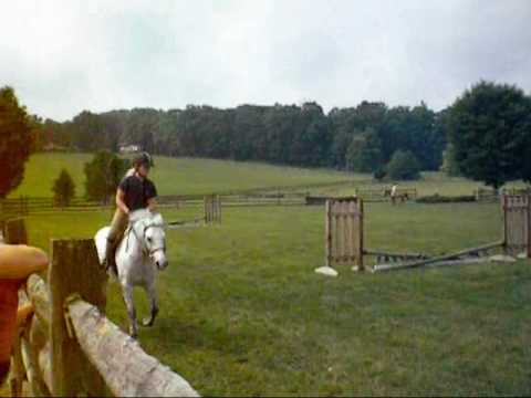 My First REAL Horse Show