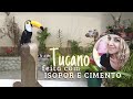 DIY- TUCANO COM ISOPOR E CIMENTO