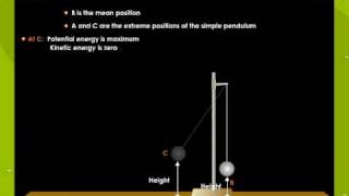 Law Of Conservation Of Energy in a Simple Pendulum2
