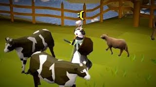 runescape, but i made the game harder