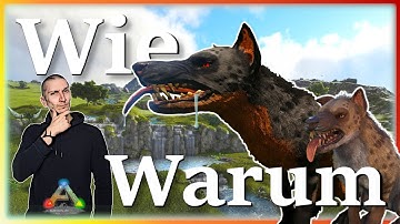 ARK Taming Guide | Hyaenodon zähmen & seine Fähigkeiten mit Humor