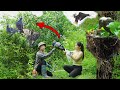 Part 2: Cleaning up Abandoned Water Pumping Stations - Discovering a Rare Breed of Strange Birds