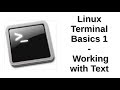 Linux Terminal Basics 1 | Working with Text