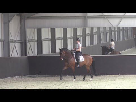 Video: Hoe een paard aan te spannen: methoden, volgorde en aanbevelingen