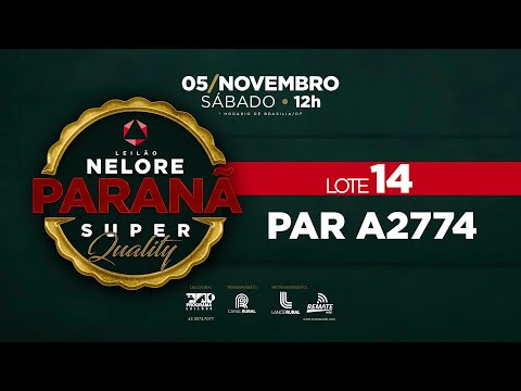 LOTE 14 PAR A2774