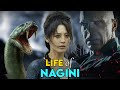 Story of nagini  how did she meet voldemort  harry potter explained