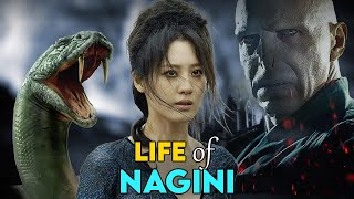Story of Nagini & How Did She Meet Voldemort | Harry Potter Explained