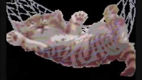 USA Soul Silver/ Heart Gold Action Replay Codes