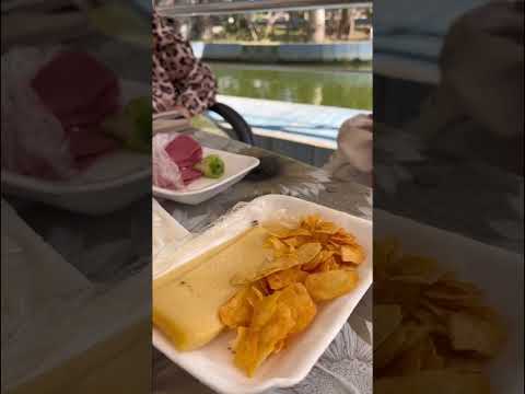 داخل حديقة الأسماك بالزمالك لينك الڤيديو كامل    74 6  84450