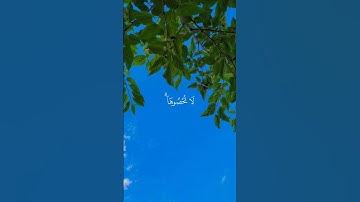 وَءَاتَىٰكُم مِّن كُلِّ مَا سَأَلۡتُمُوهُ سورة ابراهيم #المنشاوي #تلاوة_خاشعة #ترتيل