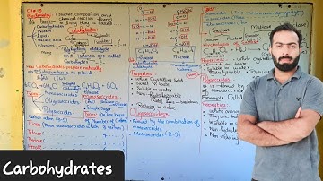 L-1.   Carbohydrates and its types | ch#13 | 10th class chemistry