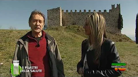 Che cos'è il tessuto flogistico?