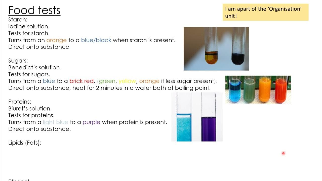 Aqa gcse biology trilogy combined science higher food tests required