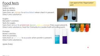 AQA GCSE Biology/Trilogy: Combined Science Higher- FOOD TESTS- Required Practical
