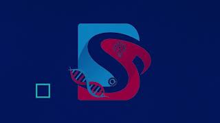 Molecular Dynamic Simulation overview