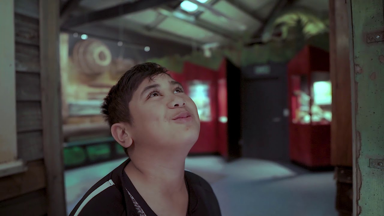 Discover the Wairoa Museum