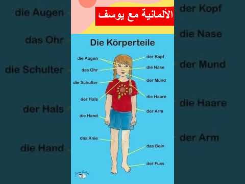جسم الانسان بالألماني