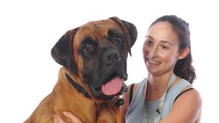 Adopt Santiago at NKLA